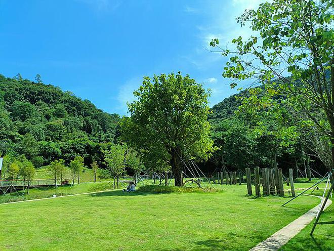 央企破净股的关注度与市场前景